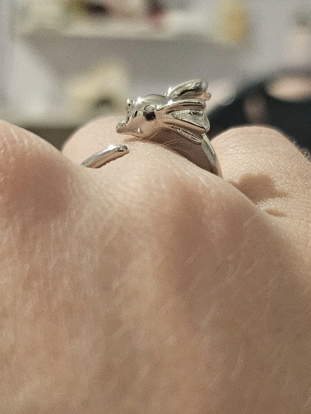 Pokemon polished silver